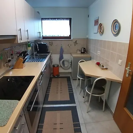 Daire 2-zimmer Mit Ueberdachten Sitzplatz Im Garten